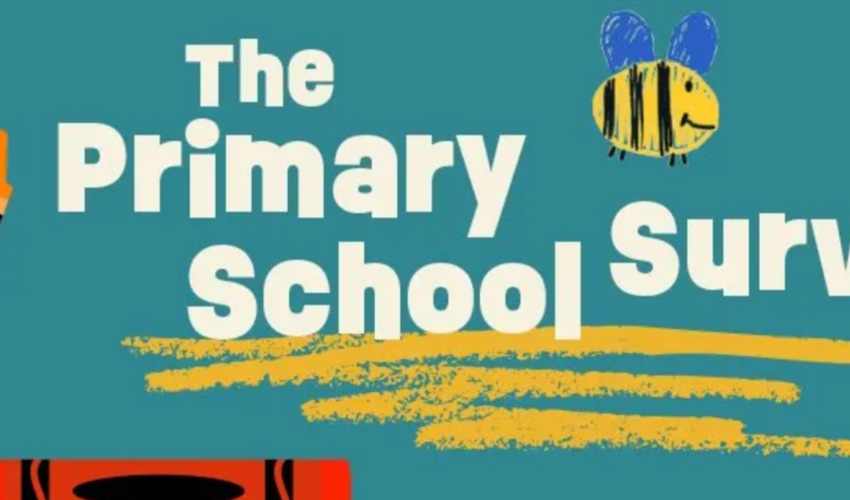 Primary School Survey